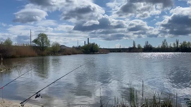 Битва с сазаном. Новое место.