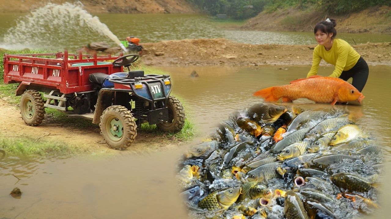 Как наловить много рыбы в диких заболоченных местах  собираем рыбу и продаем в деревне