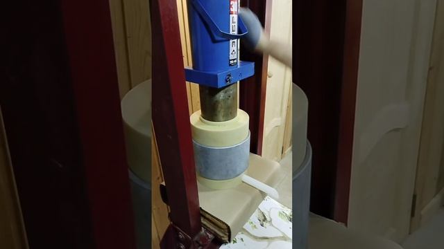 Petal_20260425_145919.mp4