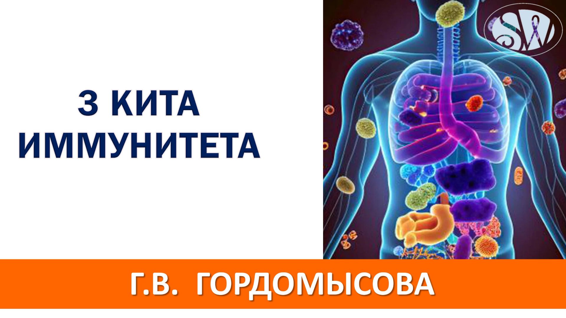 Три кита иммунитета