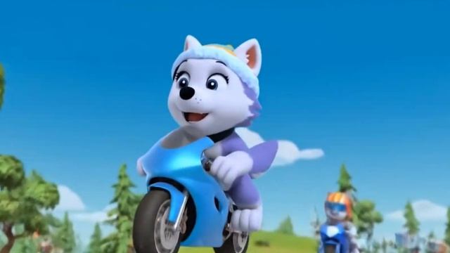 Щенячий патруль Скай Маршал Эверест Гончик Крепыш и Роки катаются на мотоциклах. Для детей!