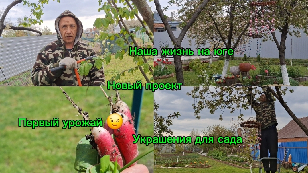 25-04-2026 Мечты сбываютсяСрочная поездка в центрНовый проектГотовлю обедУрожайУкрашаем садЮг