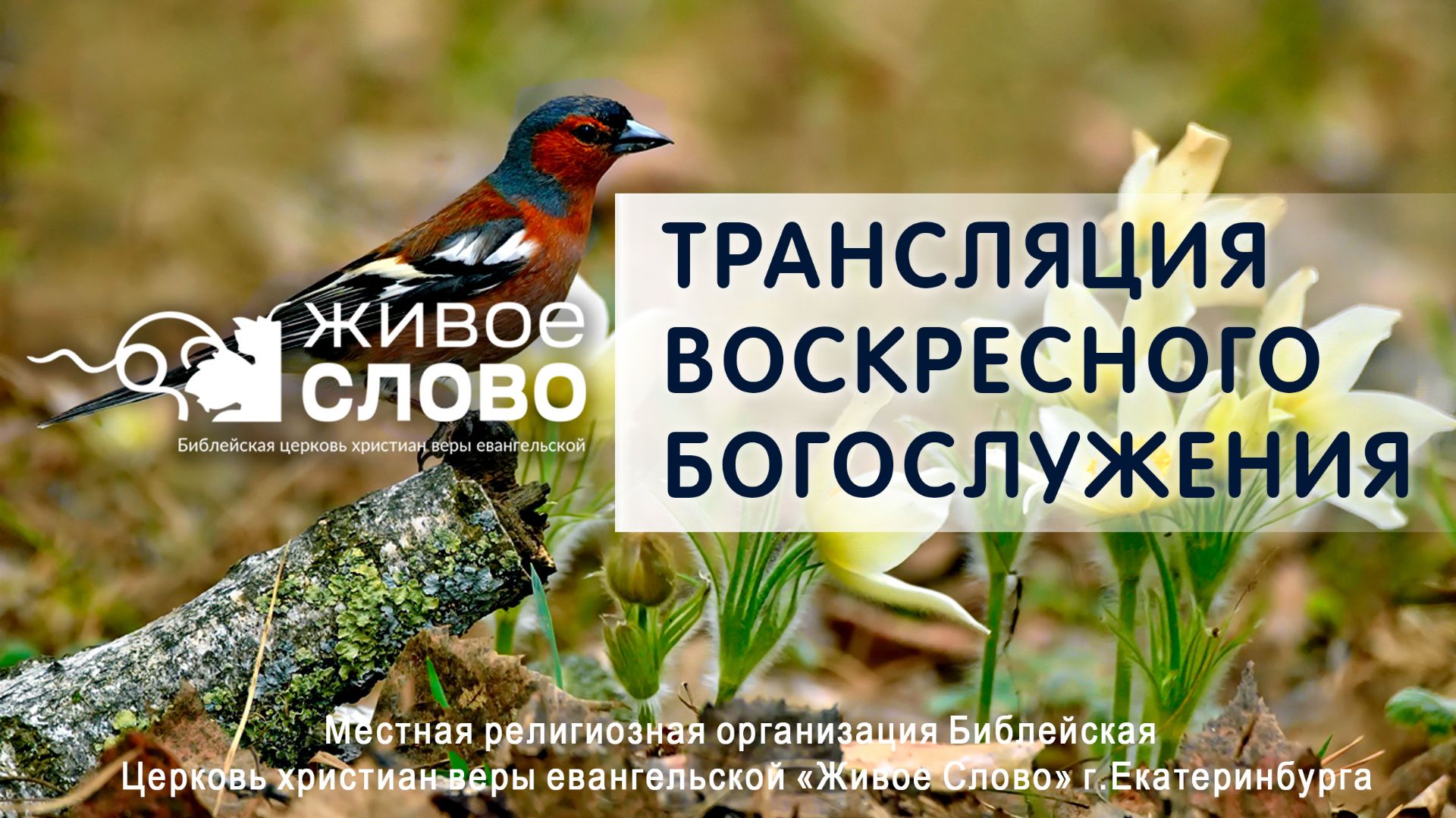 26 апреля 2026 в 11:00 ЕКБ  Воскресное Богослужение  Церковь Живое Слово