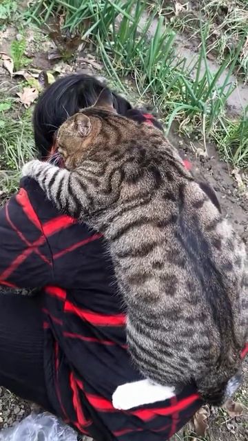 Video_2026-03-06_10-46-53