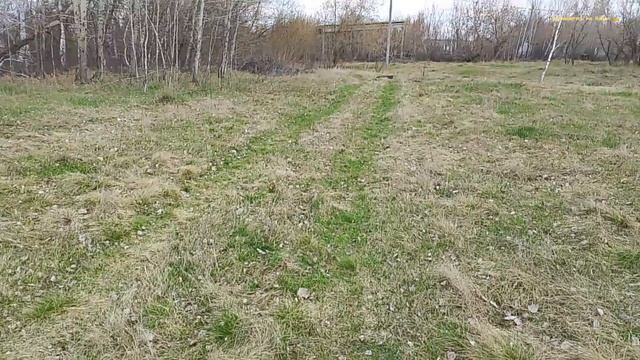 Берёзовый сок попил и металл нашёл.