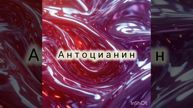 Натуральный краситель Антоцианин из чёрной морковки