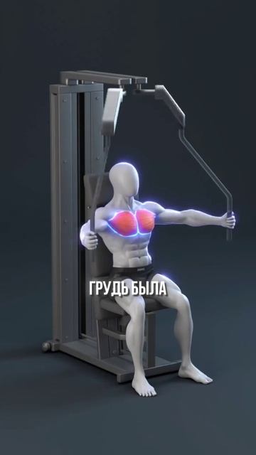 Грудь в тренажере бабочка