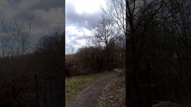 Весенняя прогулка