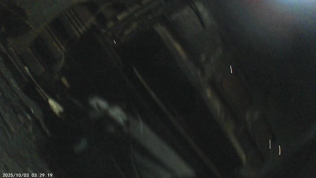 осмотор поезда