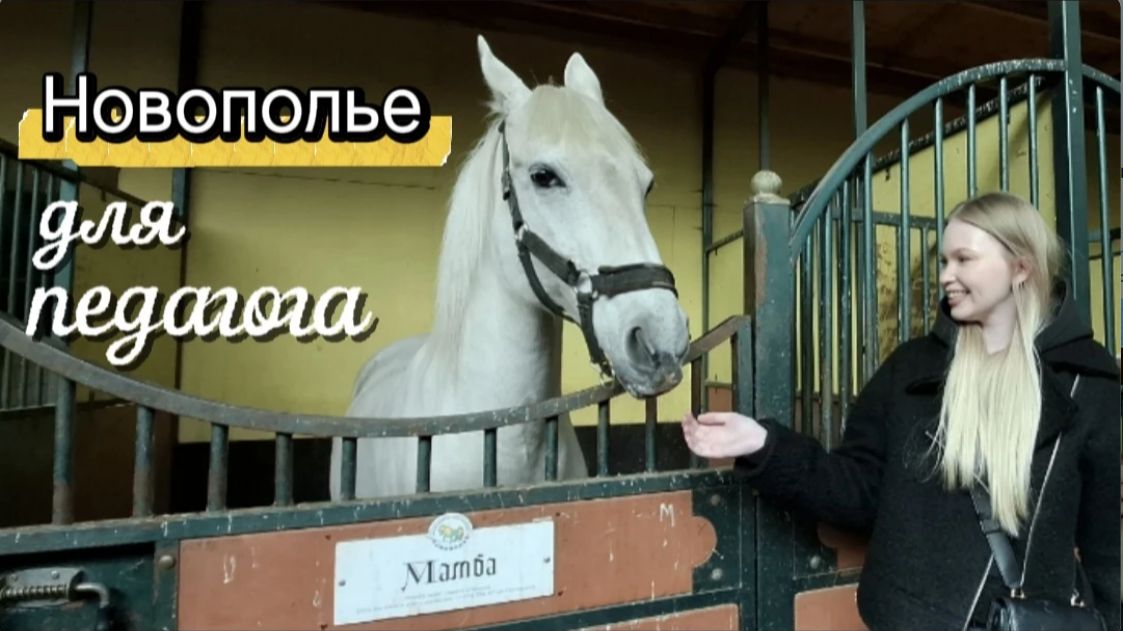 Заключительное занятие в КСК Новополье: лошади педагогика и инклюзия для студентов-заочников