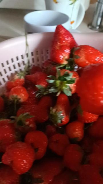 не жизнь а кайф