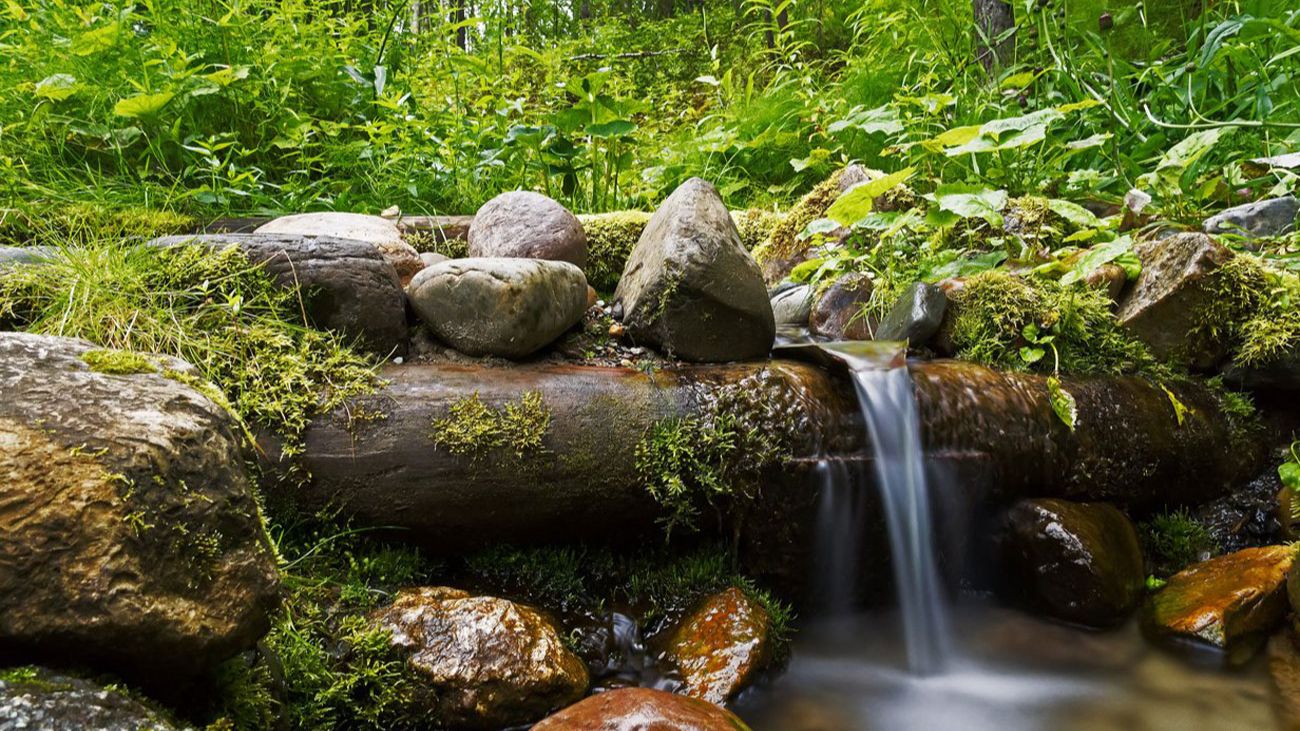 Трансляция общины Родник 25.04.2026