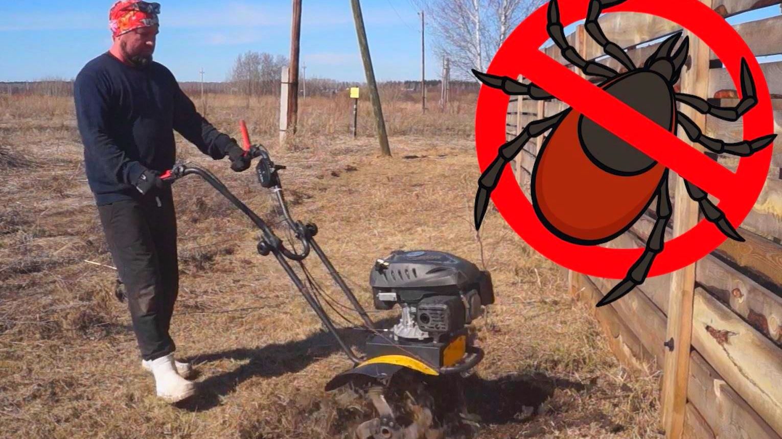 Не очевидный способ борьбы с клещами!