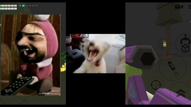 Разоблачение на Дена 14к