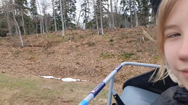 Канатная дорога снизу вверх. Роза хутор 