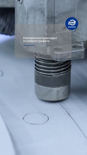 Армированная композитная прокладка из гибкого графит-ZHENGHAI SEAL-2