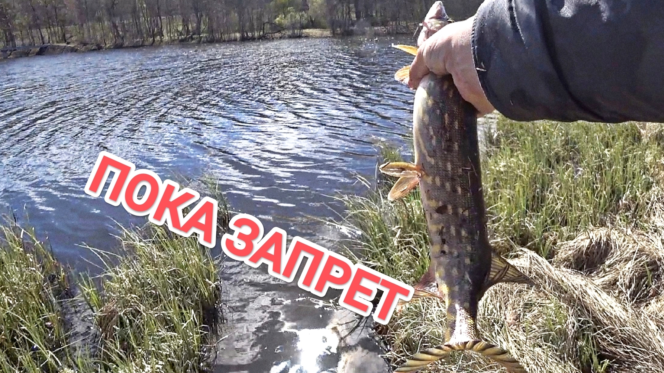 Пешая рыбалка на спиннинг!!!