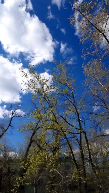 Живая природа с Евгением. 1 серия.