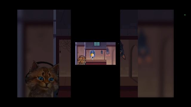 смотрю весёлого кота