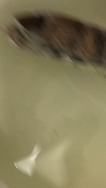 Делаю новый корабль