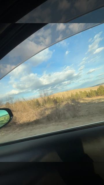 Монголия до свидания! мечта сбылась теперь я обладатель Тойоты в максимальной комплектации!