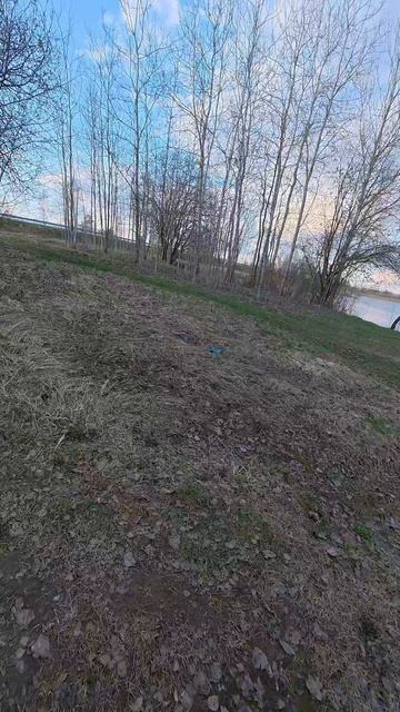 Щука и плотва на мормышинг. Хотел половить на джерки а ловит снова мормышинг. Олта Томагавк до 220гр