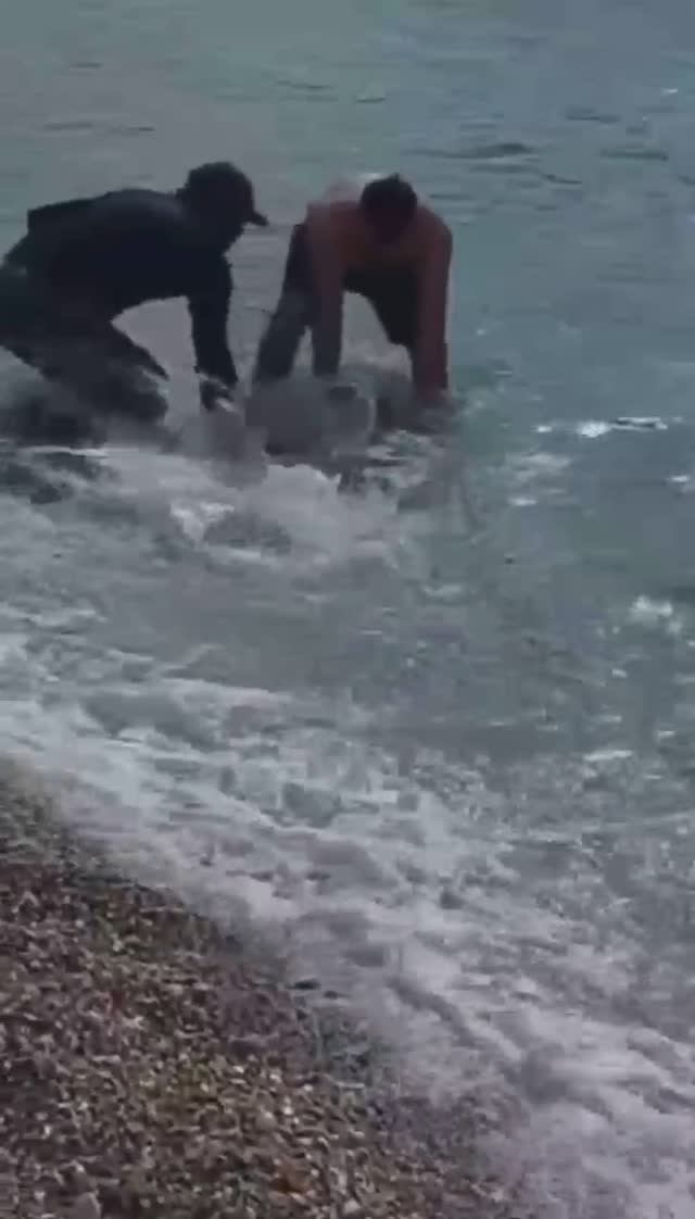 ОГРОМНЫЙ УЛОВ С БЕРЕГА. ТУРЦИЯ 2026.