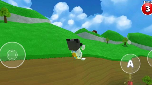 в мире черепах