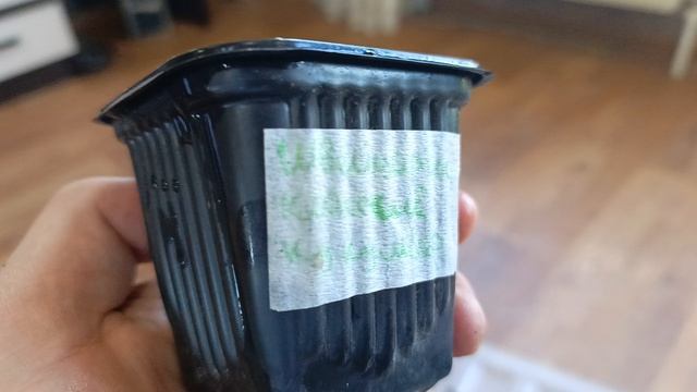 Огурцывзошли за 4 дня 25.04.27