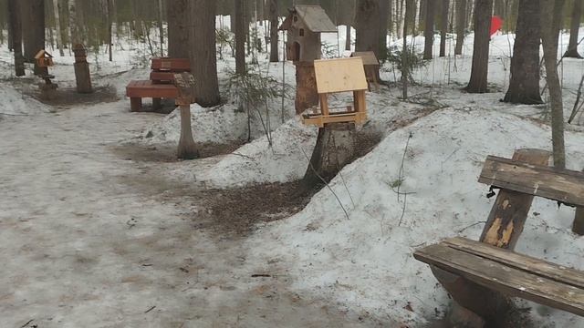 Прогулка по парку Ягом. Нижневартовск
