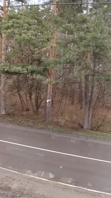 капризы природы