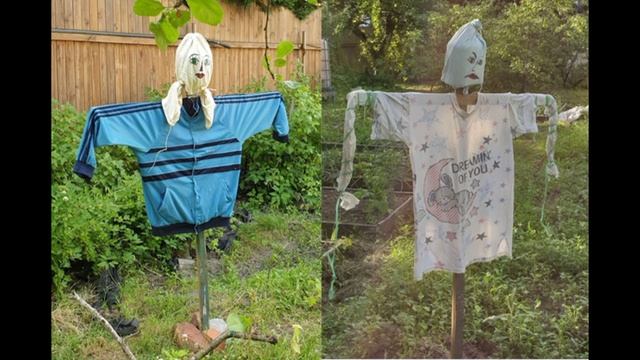 3. Люди чучела роботы