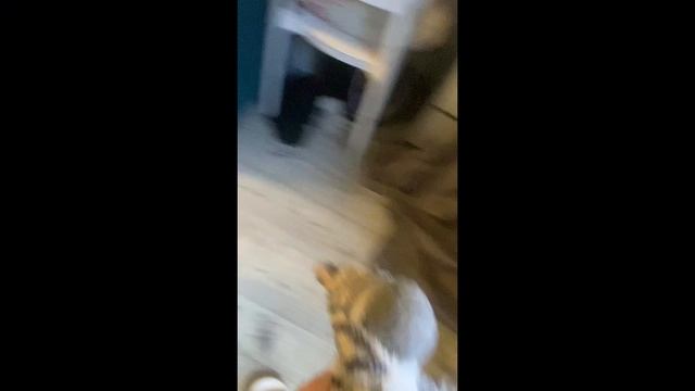 Copy_3E8A2001-0A28-40F9-8E2E-F2069BB090B1