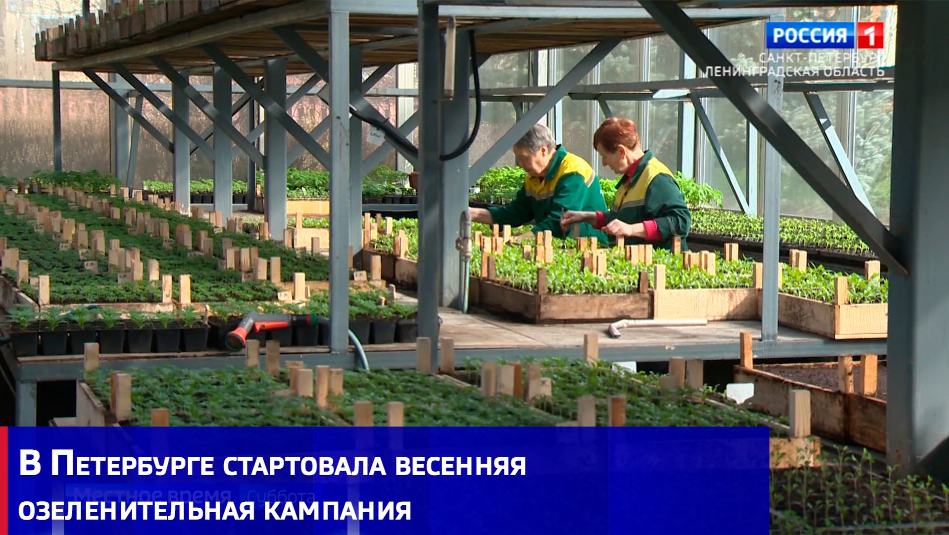 В Петербурге стартовала весенняя озеленительная кампания