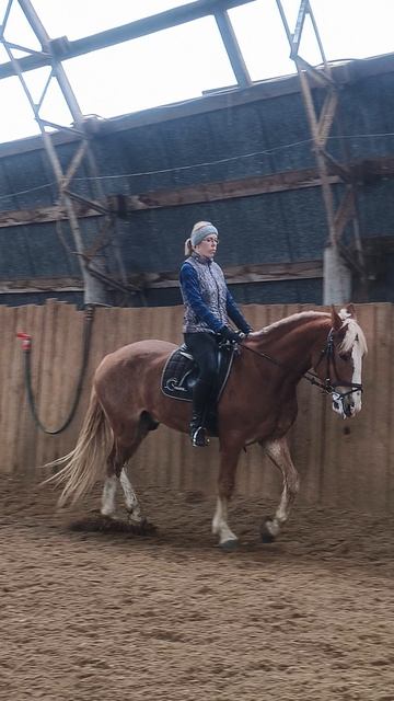 Ольга и Каспер строевая рысь по стенке в манеже.