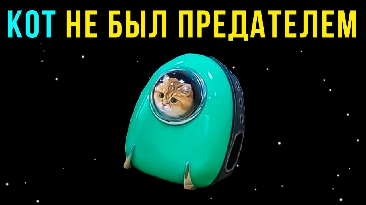 Приколы Among Us Кот не был предателем