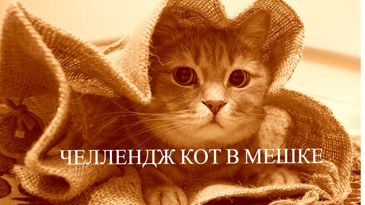 Челлендж Кот в мешке в раскрасках антистресс Апрель 2026