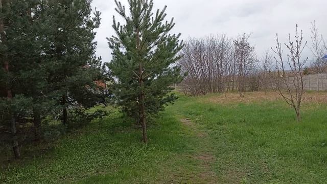 Анюта ходила в школу на награждение . На улице очень холодно 