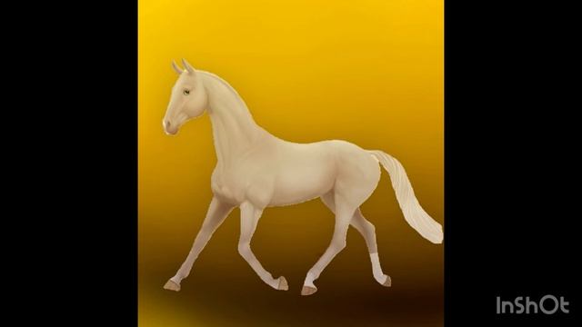 клип породы лошадей