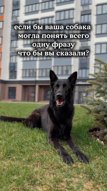 что ты скажешь?