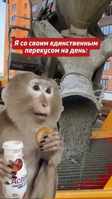 Стационарные бетононасосы Shailer