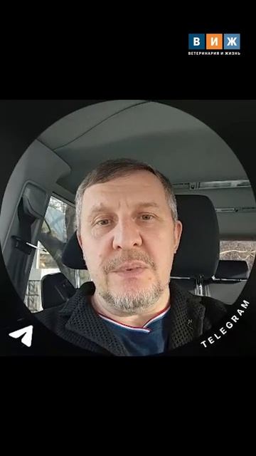 25 апреля  Международный день ветеринарного врача