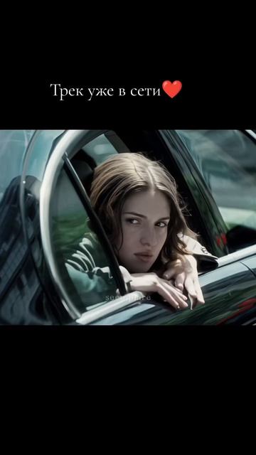 Cat55-Вкус ночи