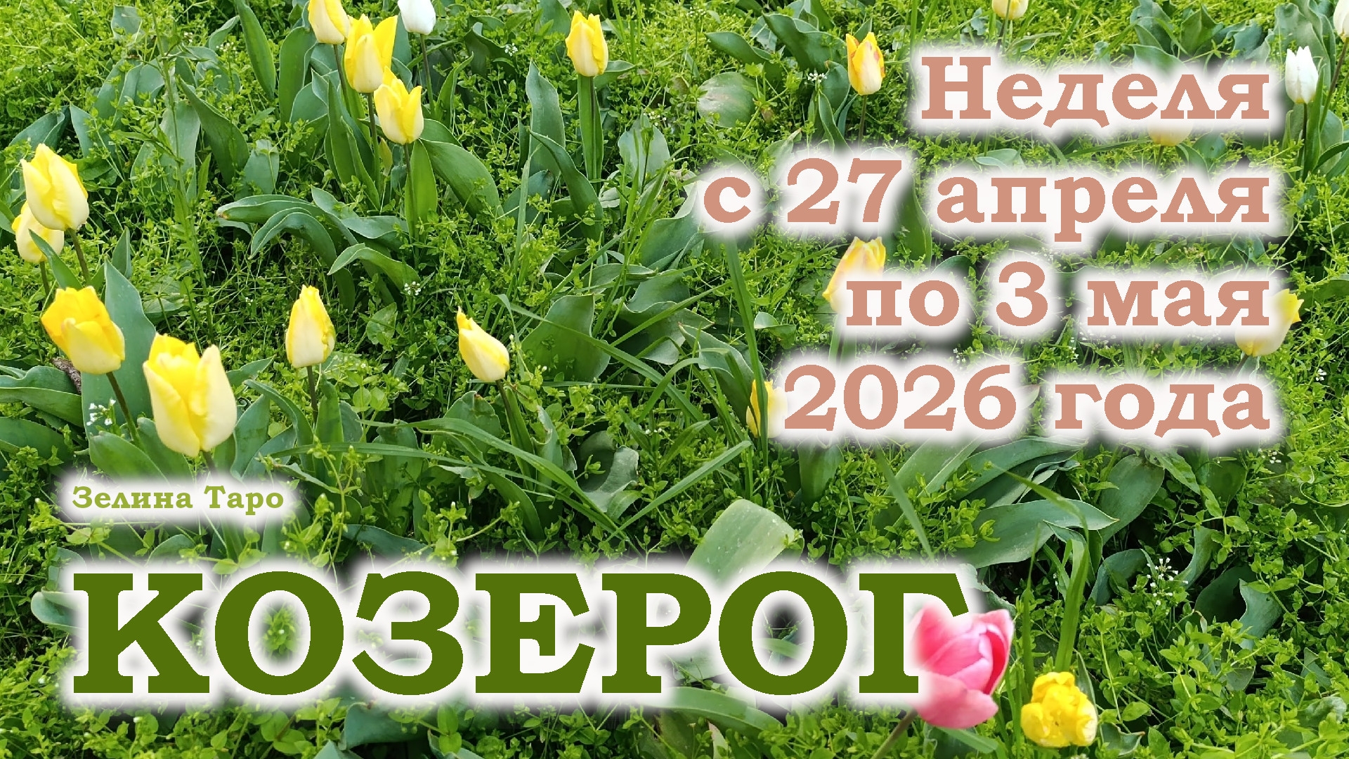 КОЗЕРОГ  ТАРО прогноз на неделю с 27 апреля по 3 мая 2026 года