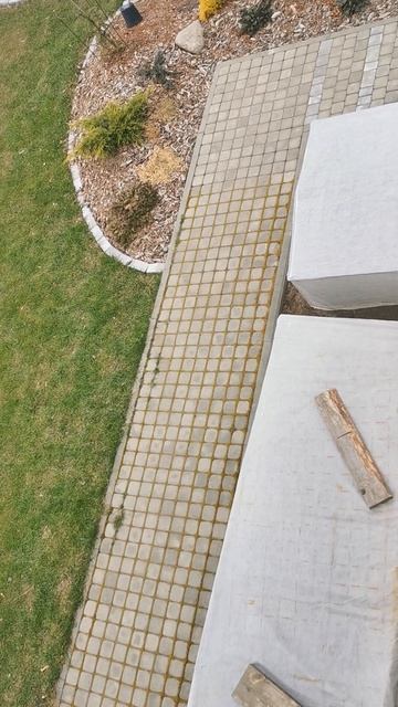 Пока у нас страшненько спасаю малышей от холодного ветра. 25.04.2026 восток Ленинградской области