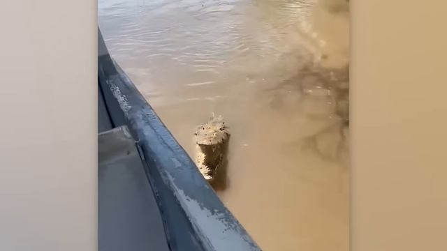 Природа Разбушевалась