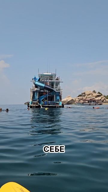 Снорклинг с акулами на КоТао. Посмотрели рыбок да не тех Лучшая бухта Hin Won Таиланд