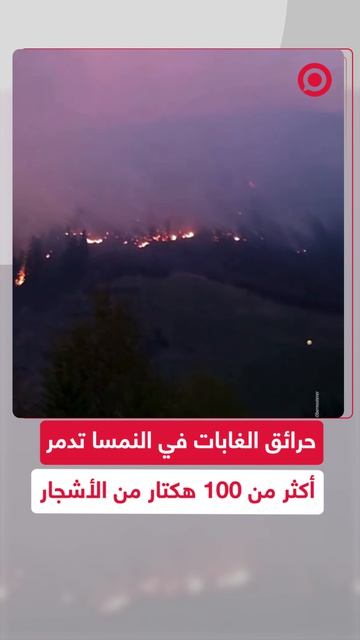 عشرات فرق الإطفاء تعمل على إخماد حرائق الغابات التي دمرت أكثر من 100 هكتار من الأشجار في بالنمسا