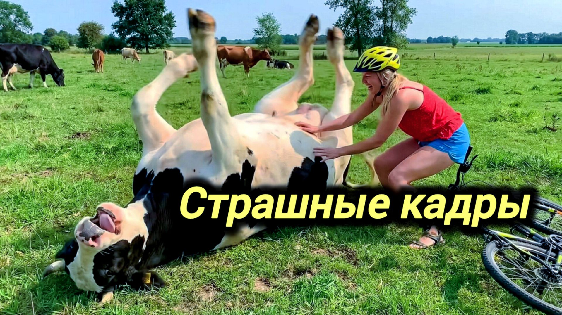 25-04-2026. ЧПКАТАКЛИЗМЫКАТАСТРОФЫ ПРОИСШЕСТВИЯ ЗА ДЕНЬ. новости дня. СЕГОДНЯ