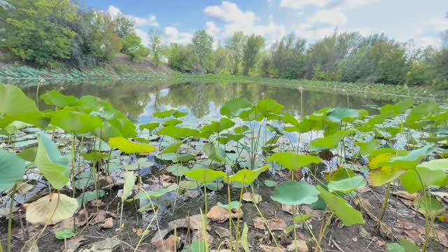 Велопрогулка. От ерика Верблюд до Волги и озера Лотосов